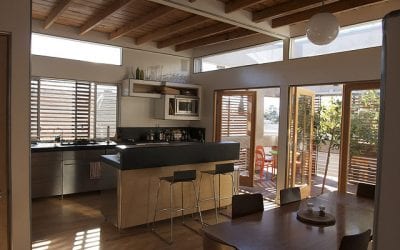 Benefits of Natural Light in the Kitchen