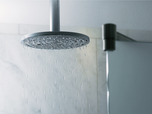 Ceiling Showerheads