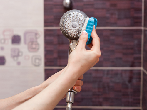 Cleaning Shower Heads